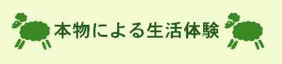 本物による生活体験